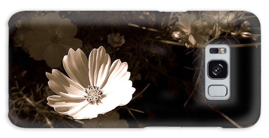 Lit Galaxy Case featuring the photograph Lit by Dark Whimsy