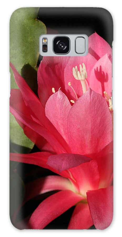 Cactus Galaxy Case featuring the photograph Little Ballerina by Tammy Pool