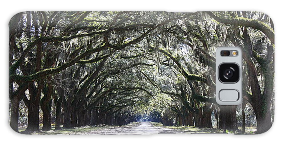 Landscape Galaxy Case featuring the photograph Live Oak Lane in Savannah by Carol Groenen