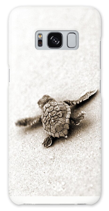 Loggerhead Turtle! Hilton Head Island Galaxy Case featuring the photograph Loggerhead by Michael Stothard