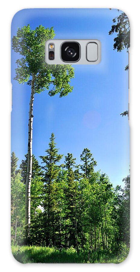 Trees Galaxy Case featuring the photograph Lone Aspen by Ron Cline