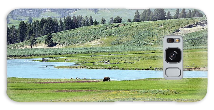 Photosbymch Galaxy S8 Case featuring the photograph Lone Bison out on the Prairie by M C Hood