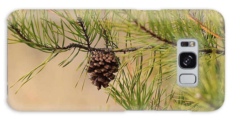 Pine Cone Galaxy Case featuring the photograph Lone Pine Cone by Karen Ruhl