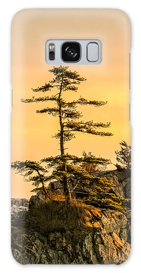Crow Island Galaxy Case featuring the photograph Lone Pine-Crow Is. by Michael Hubley