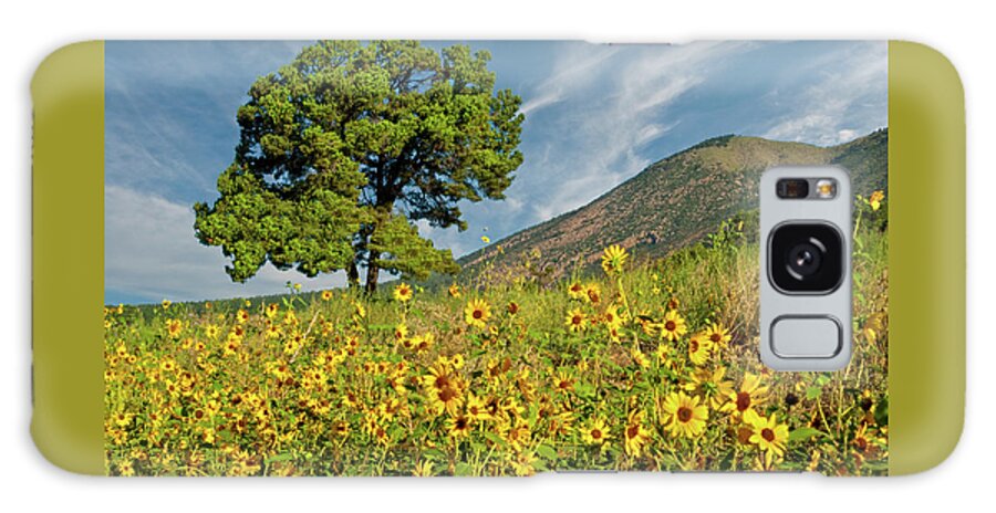 Arizona Galaxy Case featuring the photograph Lone Tree in a Sunflower Field by Jeff Goulden