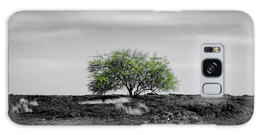 Plants Galaxy Case featuring the photograph Lonely Tree by Daniel Murphy