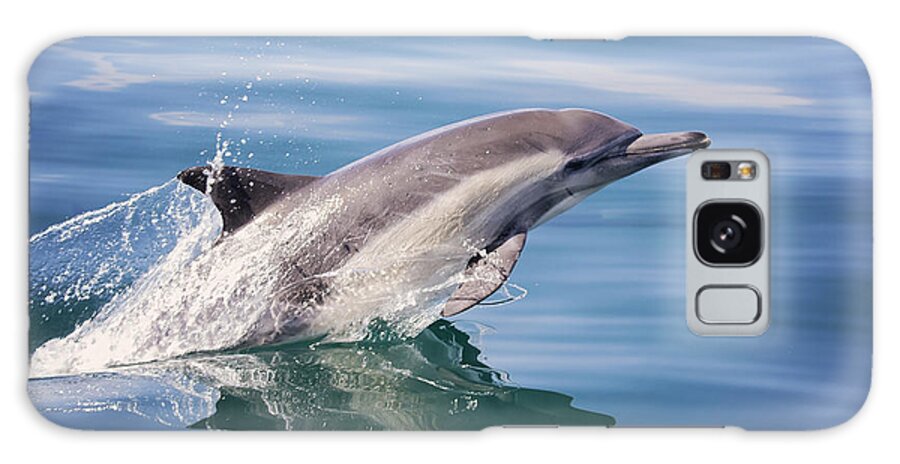 Long Galaxy Case featuring the photograph Long Beaked Common Dolphin by Deana Glenz
