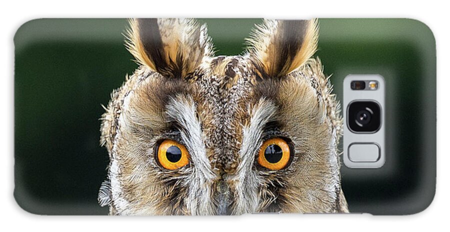 Long Eared Owl Galaxy Case featuring the photograph Long Eared Owl 1 by Nigel R Bell