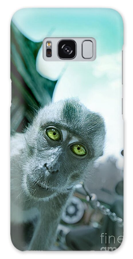 Monkey Galaxy Case featuring the photograph Look Into My Eyes by Charuhas Images