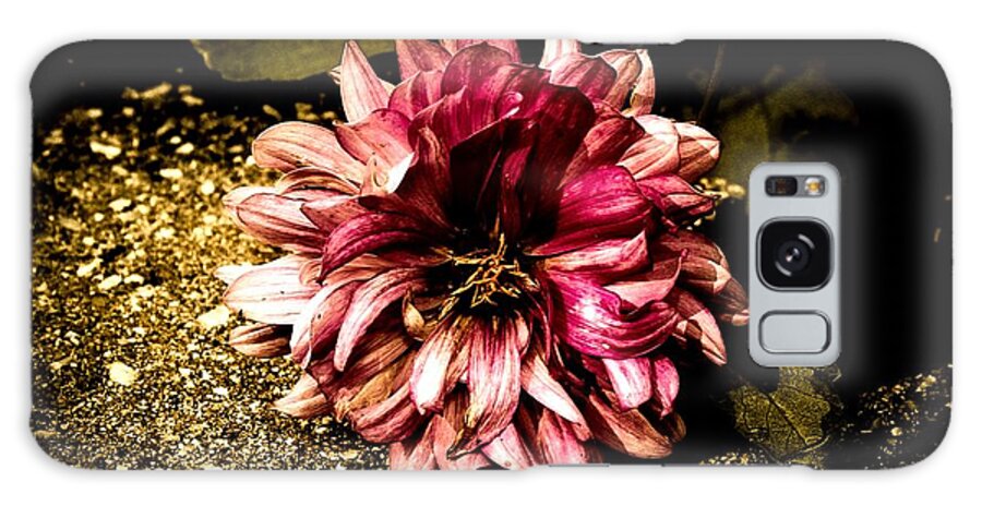 Flower Galaxy Case featuring the photograph Looking around-125 by Emilio Arostegui