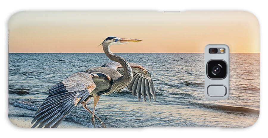 Great Blue Heron Galaxy Case featuring the photograph Looking For Supper by Brian Tarr