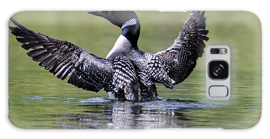 Loon Galaxy Case featuring the photograph Loon Wingspan by Brook Burling