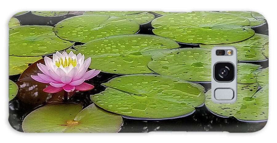 Water Lily Galaxy Case featuring the photograph Lotus Blossom by Holly Ross