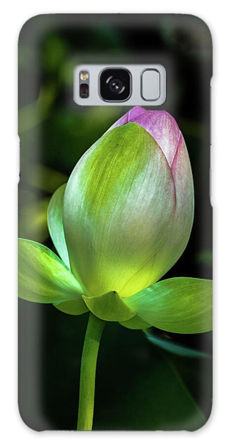Jay Stockhaus Galaxy Case featuring the photograph Lotus Blossom by Jay Stockhaus