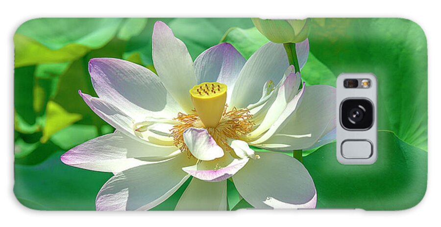 Lotus Galaxy Case featuring the photograph Lotus--Fading i DL0079 by Gerry Gantt