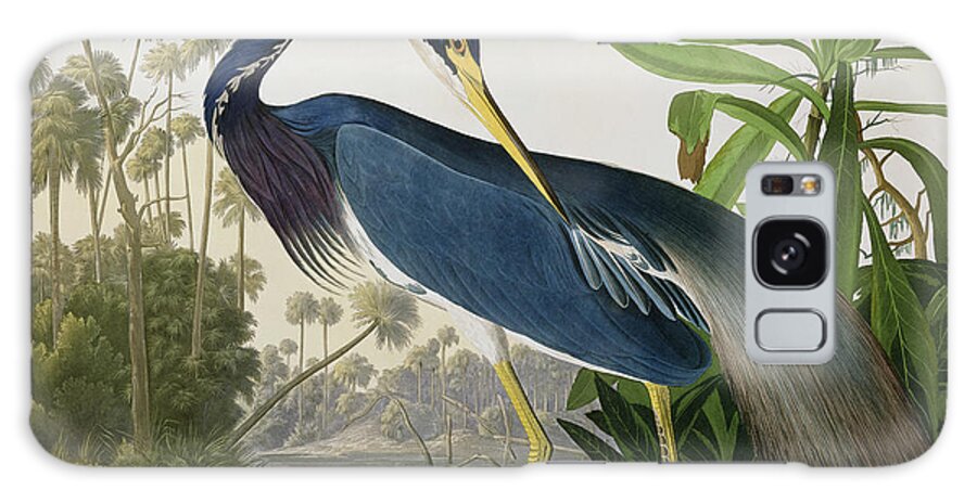 Louisiana Heron Galaxy Case featuring the painting Louisiana Heron by John James Audubon