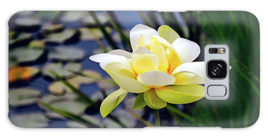 Lotus Galaxy Case featuring the photograph Lovely Lotus by Jessica Jenney