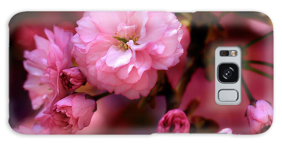 Sold Galaxy Case featuring the photograph Lovely Spring Pink Cherry Blossoms by Shelley Neff