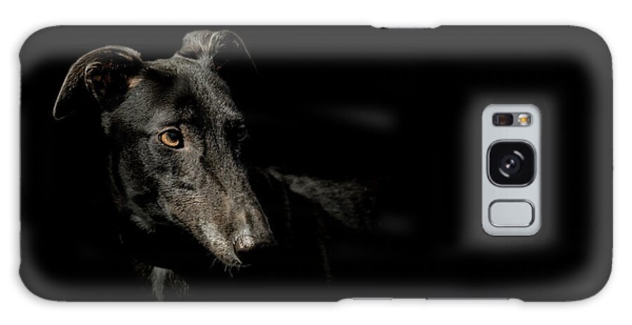 Dog Galaxy Case featuring the photograph Loyalty by Paul Neville