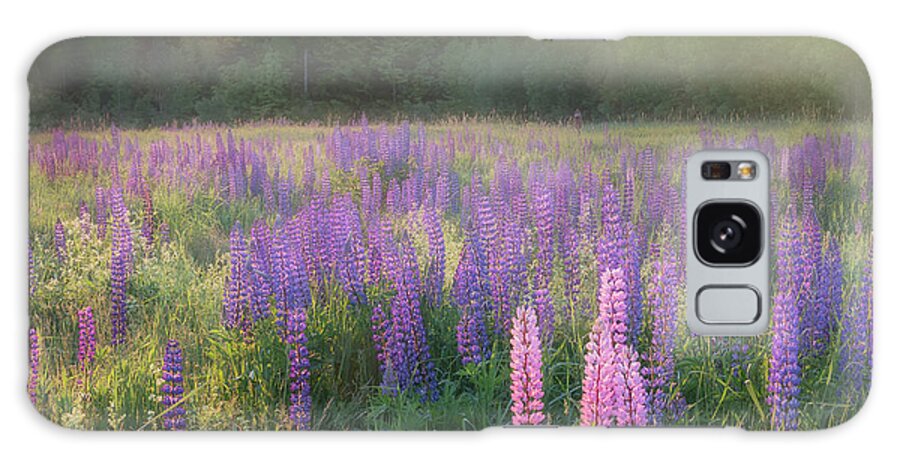 Square Galaxy S8 Case featuring the photograph Lupine Morning Fog Square by Bill Wakeley