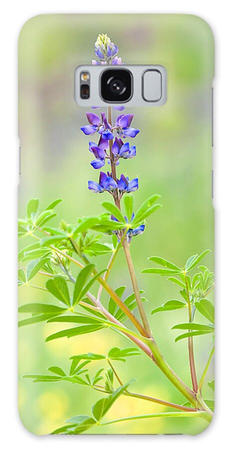 Lupine Galaxy Case featuring the photograph Lupine by Ram Vasudev