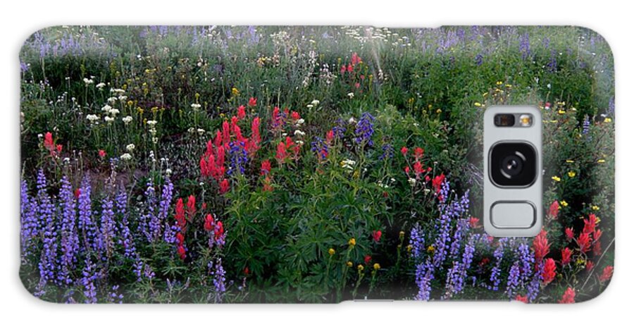 Lupines Flowers Indian Paintbrush Sun Colorado Meadow Wildflowers Nederland Galaxy Case featuring the photograph Lupines and sun by George Tuffy