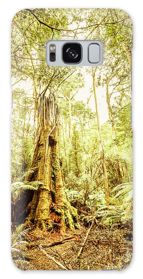 Australia Galaxy Case featuring the photograph Lush Tasmanian forestry by Jorgo Photography