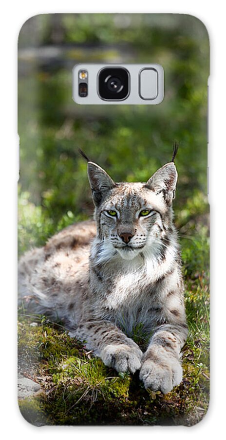 Lynx Galaxy S8 Case featuring the photograph Lynx by Yngve Alexandersson