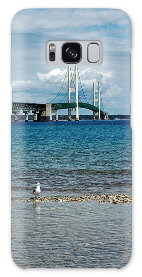 Usa Galaxy Case featuring the photograph Mackinac Bridge private seagull Beach by LeeAnn McLaneGoetz McLaneGoetzStudioLLCcom