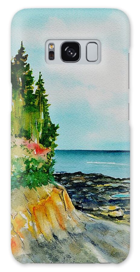 Watercolor Galaxy Case featuring the painting Mackworth Island Maine by Brenda Owen