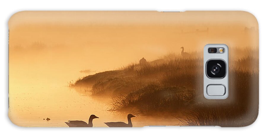 Adult Galaxy Case featuring the photograph MAgical Misty Morning by Roeselien Raimond