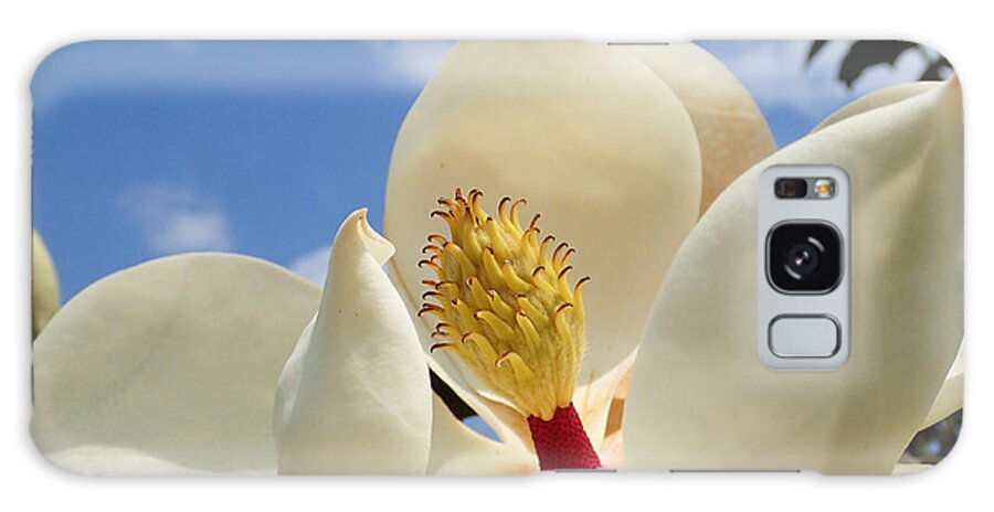 Magnolia Galaxy S8 Case featuring the photograph Magnolia Blossom by Farol Tomson