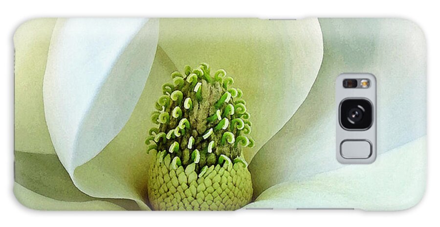 Floral Galaxy Case featuring the photograph Magnolia Grandiflora 3 by Deborah Smith
