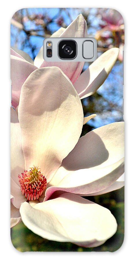 Magnolia Galaxy Case featuring the photograph Magnolia by Susie Loechler