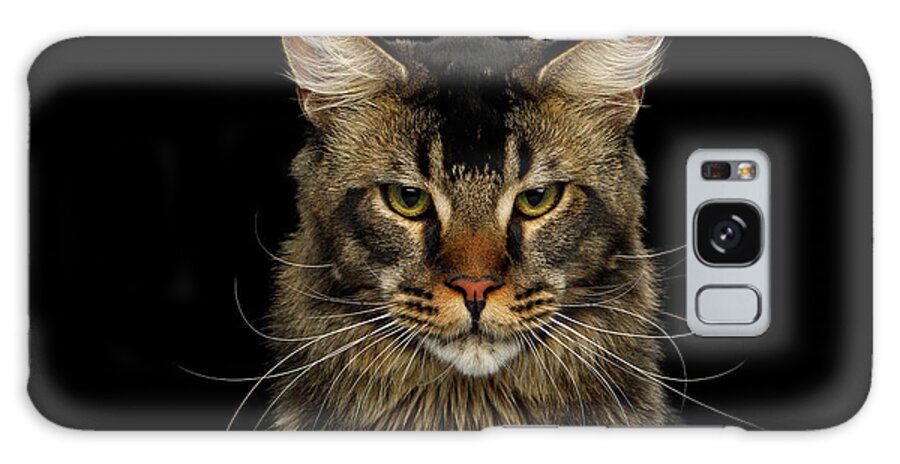 Maine Galaxy Case featuring the photograph Maine Coon Cat by Sergey Taran