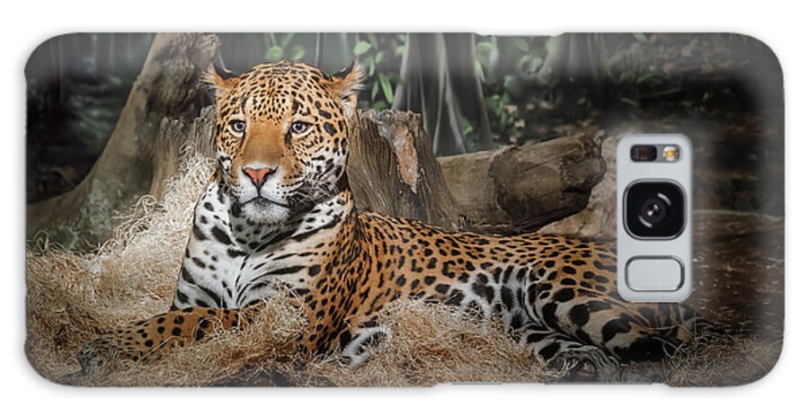 #faatoppicks Galaxy Case featuring the photograph Majestic Leopard by Scott Norris