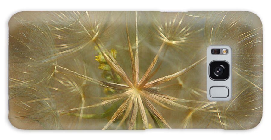 Dandelion Galaxy S8 Case featuring the photograph Make A Wish by Donna Blackhall
