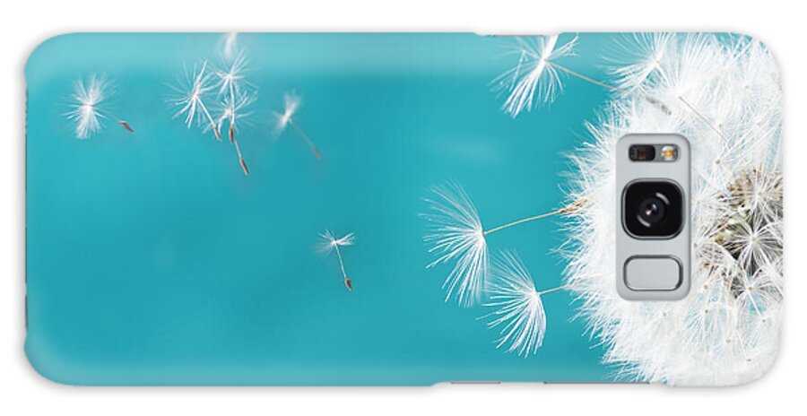 Dandelion Galaxy Case featuring the photograph Make a wish II by Anastasy Yarmolovich