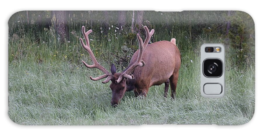 Nature Galaxy Case featuring the photograph Bull Elk Rocky Mountain NP CO by Margarethe Binkley