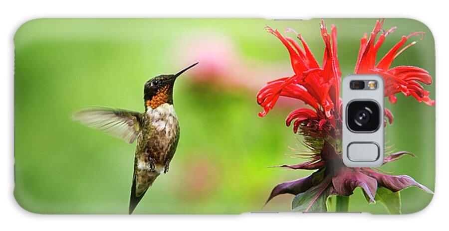 Hummingbird Galaxy Case featuring the photograph Male Ruby-Throated Hummingbird Hovering Near Flowers by Christina Rollo