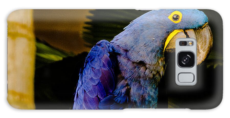 Hawaii Galaxy Case featuring the photograph Malie Cockatoo by Alan Hart