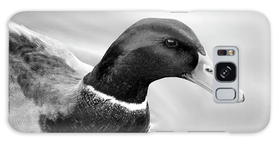 Park Galaxy Case featuring the photograph Mallard - Black and White by K Bradley Washburn