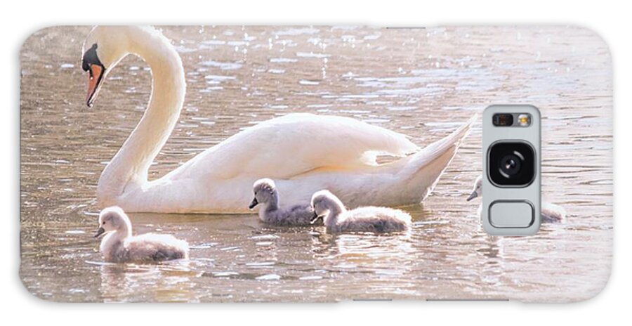 Swan Family Galaxy Case featuring the photograph Mama Swan and Her Babies - Mute Swan by Mary Ann Artz