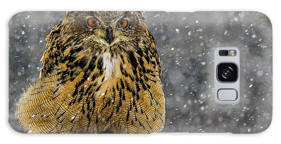 Owl Galaxy S8 Case featuring the photograph Mango by Jale Fancey