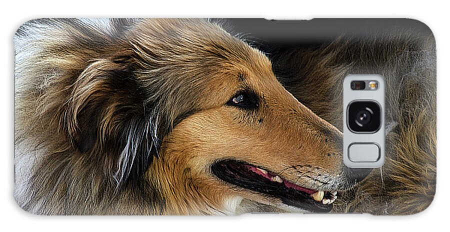 Dog Galaxy Case featuring the photograph Man's Best Friend by Bob Christopher