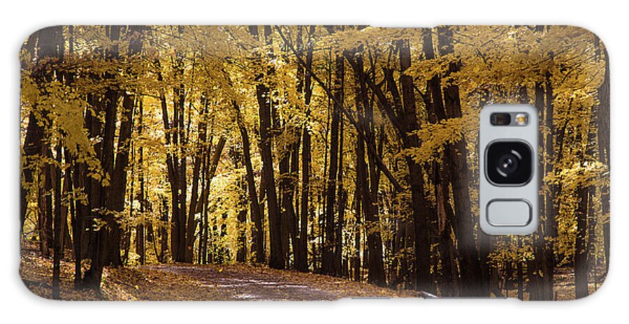 Fall Galaxy Case featuring the photograph Maple Glory by CJ Benson