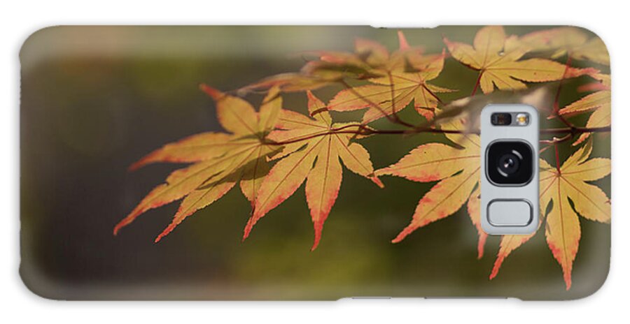Autume Galaxy Case featuring the photograph Maple by Hyuntae Kim