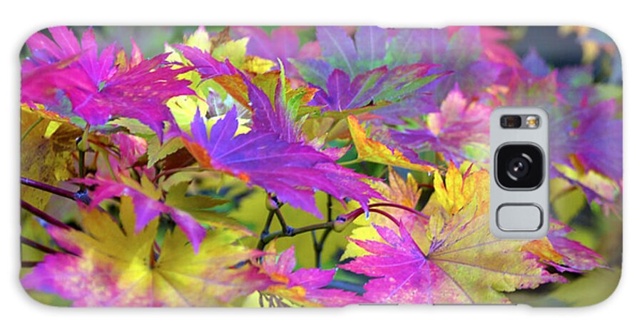 Nature Galaxy Case featuring the photograph Maple Vibrance by Emerita Wheeling