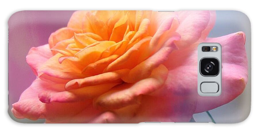 Rose Galaxy Case featuring the photograph Marie's rose by MaryLee Parker