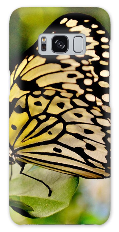 Butterfly Galaxy S8 Case featuring the photograph Mariposa Butterfly by Eileen Brymer